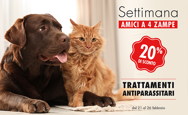 Settimana amici a 4 zampe