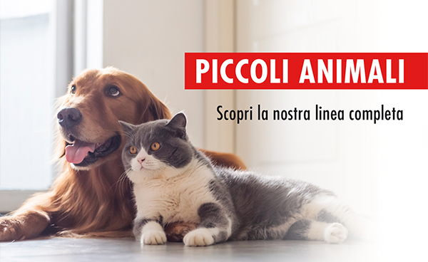 Piccoli animali