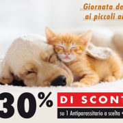 Piccoli animali
