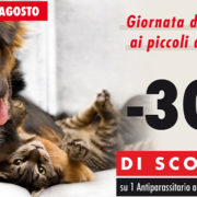 piccoli animali
