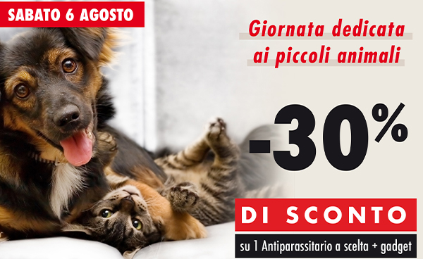 piccoli animali