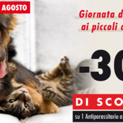 piccoli animali