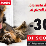 piccoli animali